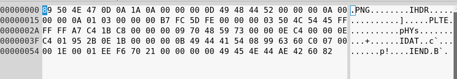 Injection points in popular image formats