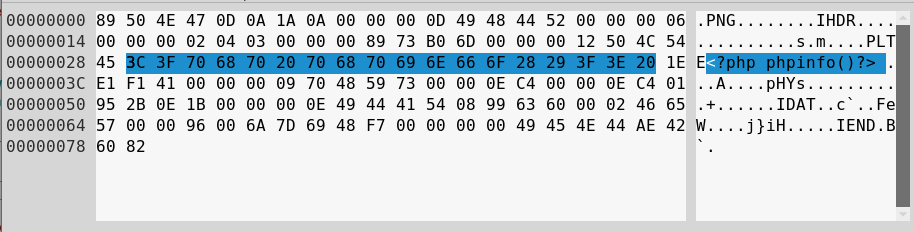 Injection points in popular image formats