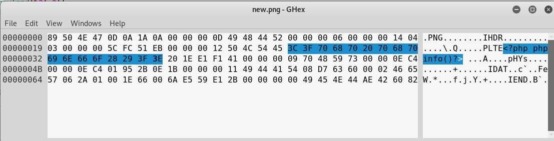 Injection points in popular image formats