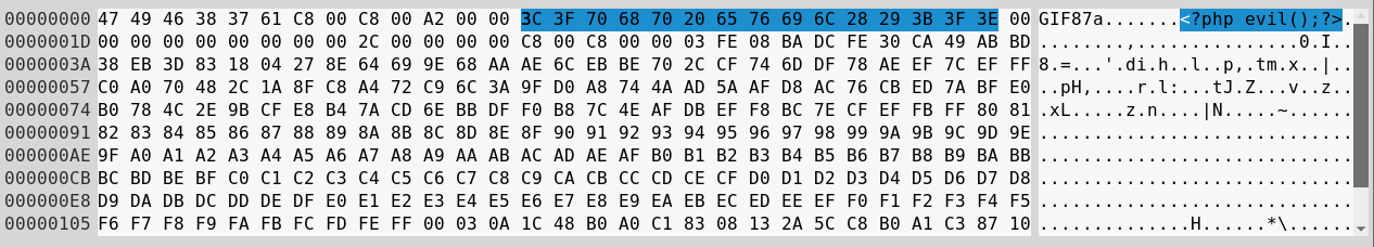 Injection points in popular image formats