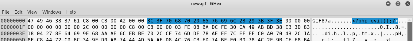 Injection points in popular image formats